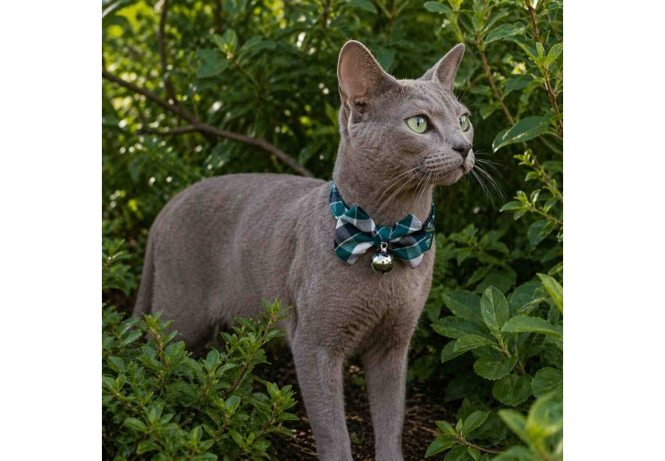 Green Tartan Bow Tie Cat Collar
