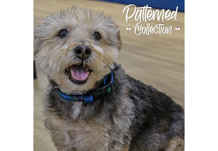 Ancol Tartan Navy Collar