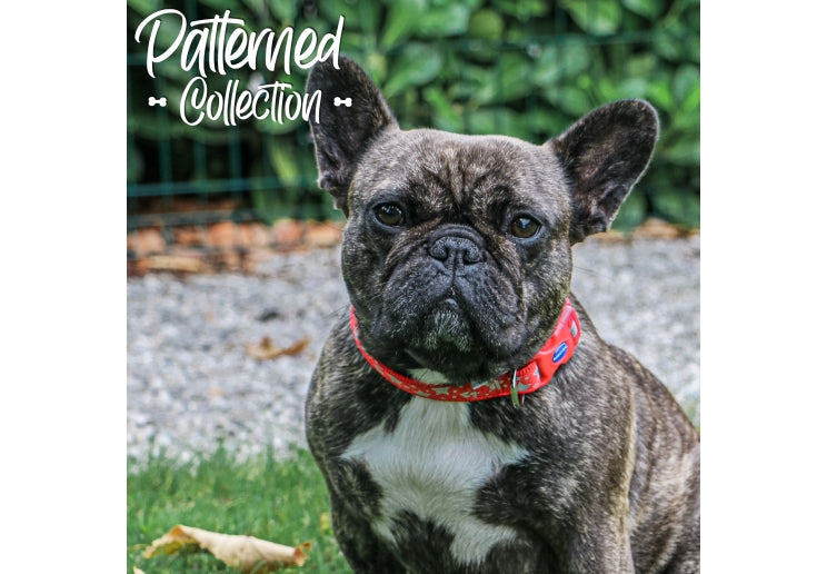 Ancol Reflective Stars Red Collar