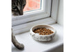 Curved Edge Cat Dish Patterned