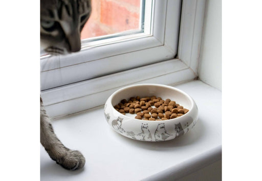 Curved Edge Cat Dish Patterned