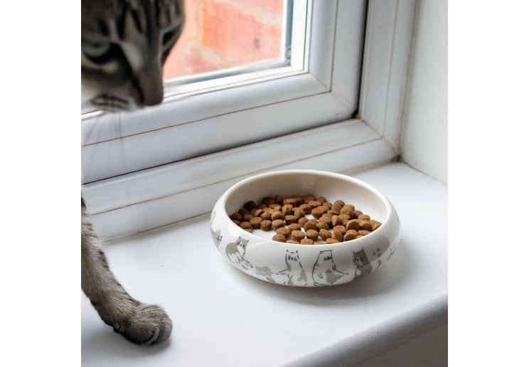 Curved Edge Cat Dish Patterned