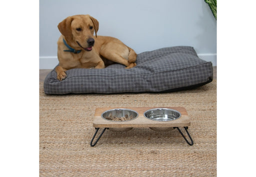 Raised Two Bowl Dog Feeder