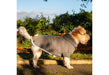 ANC Polar Fleece Dog Coat Grey