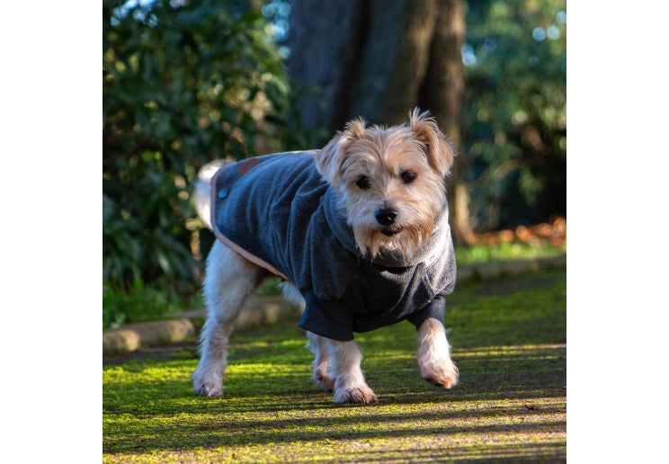 ANC Polar Fleece Dog Coat Grey
