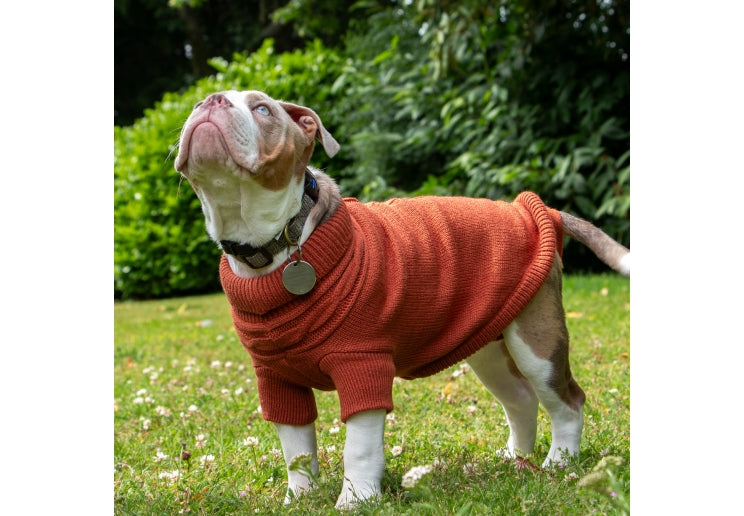 Ancol Cable Knit Jumper Teracotta