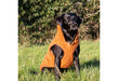 Teddy Sherpa Dog Fleece Terracotta