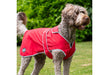 Stormguard SoftShell Dog Coat Bordeaux