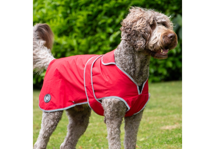 Stormguard SoftShell Dog Coat Bordeaux