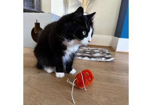 Ancol Lacey The Sweet Potato Cat Toy