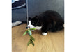 Chirping Greenfinch Cat Toy