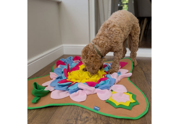 Dog interacting with a snuffle mat on the floor.