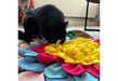 Cat interacting with a snuffle mat on the floor.