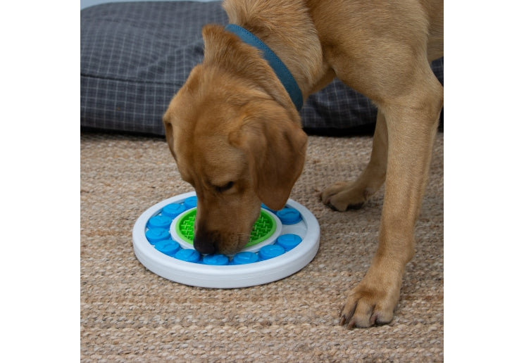 Orva Dog Puzzle Ring