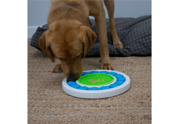 Orva Dog Puzzle Ring