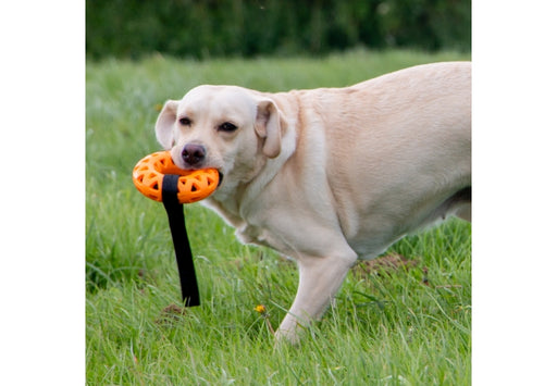 Ancol Extreme Floating Donut with Strap