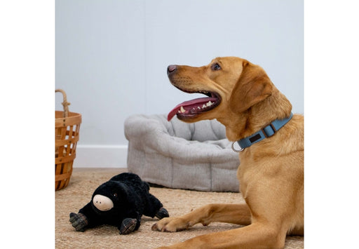 Ancol Heritage Montgomery Mole