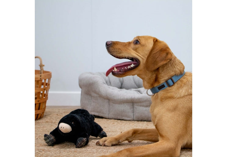 Ancol Heritage Montgomery Mole