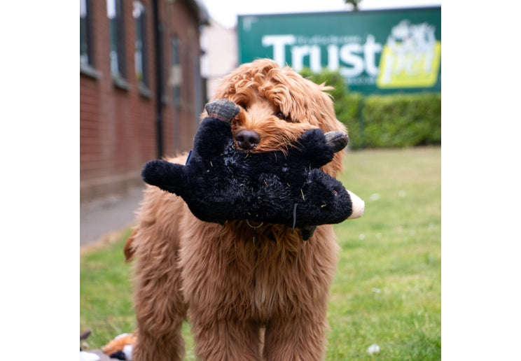 Ancol Heritage Montgomery Mole