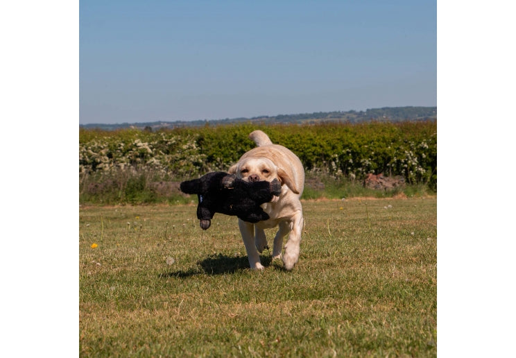 Ancol Heritage Montgomery Mole