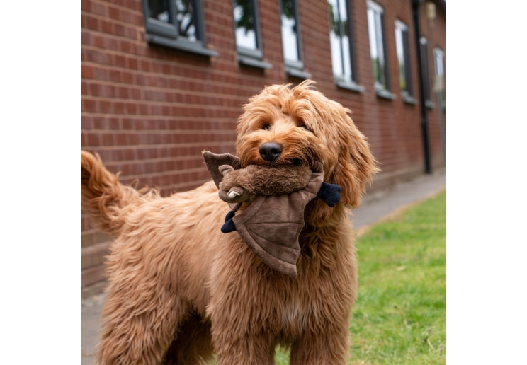 Ancol Heritage Barnaby Bat Midi