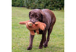 Peter Pangolin Recycled Dog Toy 