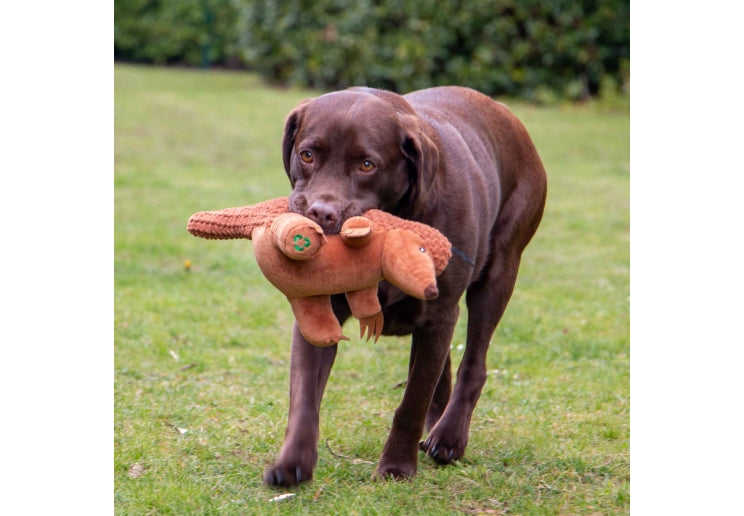 Peter Pangolin Recycled Dog Toy 