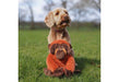 Oswold Orangutan Recycled Dog Toy
