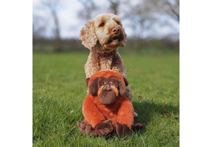 Oswold Orangutan Recycled Dog Toy