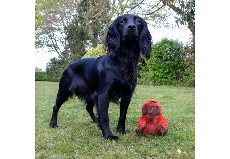 Ozzy Orangutan Mini Recycled Dog Toy
