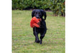 Ozzy Orangutan Mini Recycled Dog Toy