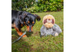 Scout Sloth Mini Recycled Dog Toy 