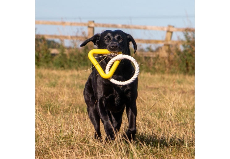 Playtime Natural Ropey Triangle Yellow
