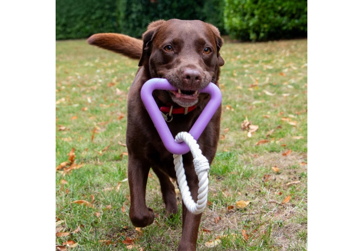 Playtime Natural Ropey Triangle Purple
