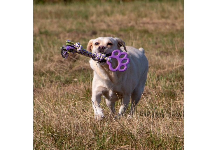 Playtime Ropey Paw
