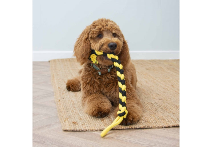 Playtime Bumble Bee Ropey Twist
