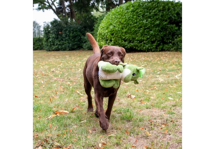 Ancol Cuddle Sprout The Dragon