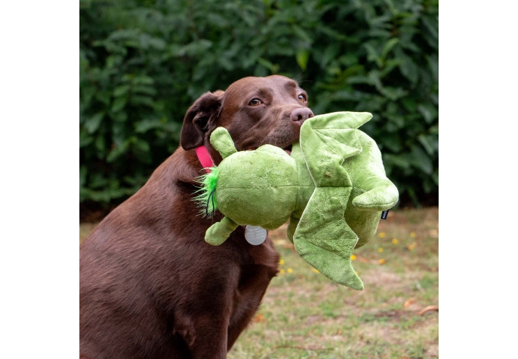 Ancol Cuddle Sprout The Dragon