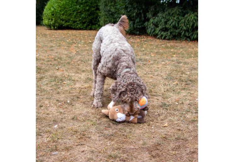 Ancol Cuddle Easter Bunny With Eggs