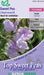 Kings Seeds Sweet Pea Chatsworth