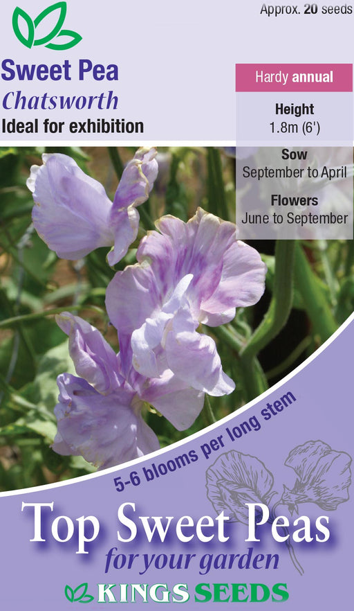 Kings Seeds Sweet Pea Chatsworth