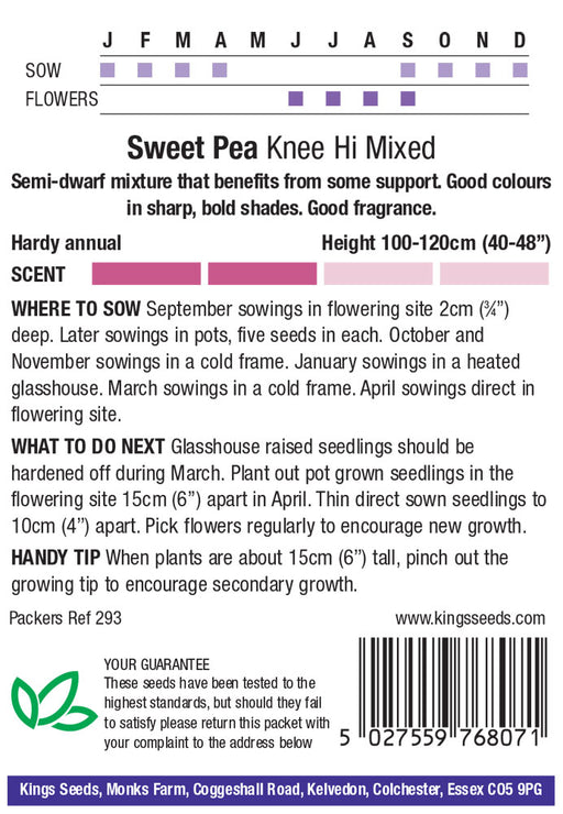 Kings Seeds Sweet Pea Knee High Mix Seeds