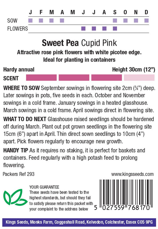 Kings Seeds Sweet Pea Cupid Pink Seeds