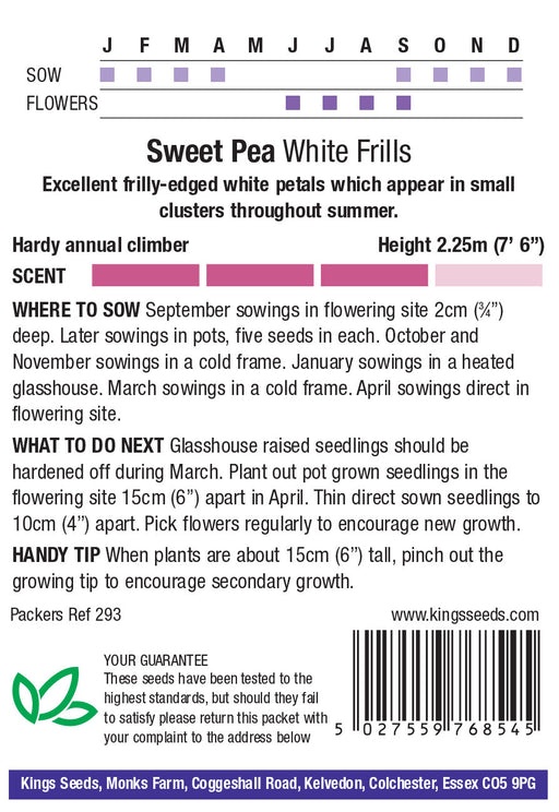 Kings Seeds Sweet Pea White Frills