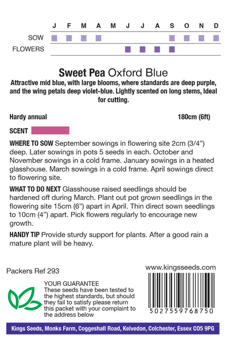 Kings Seeds Sweet Pea Oxford Blue