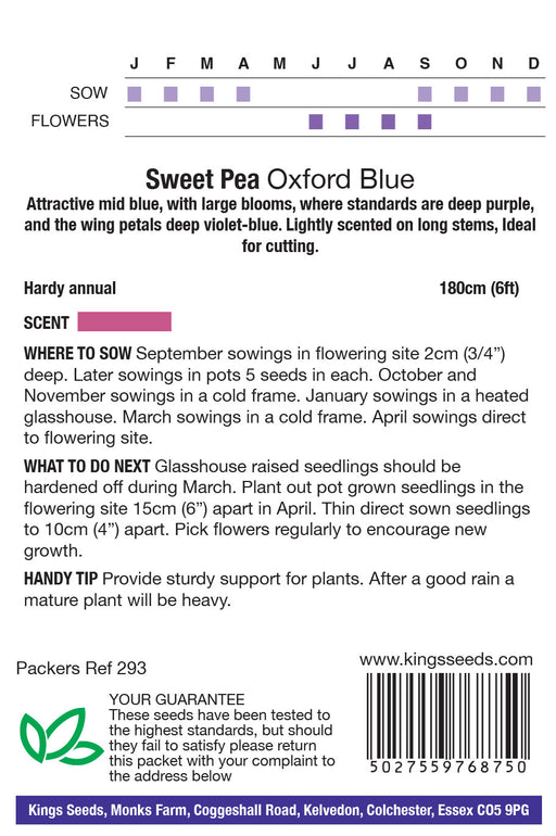 Kings Seeds Sweet Pea Oxford Blue