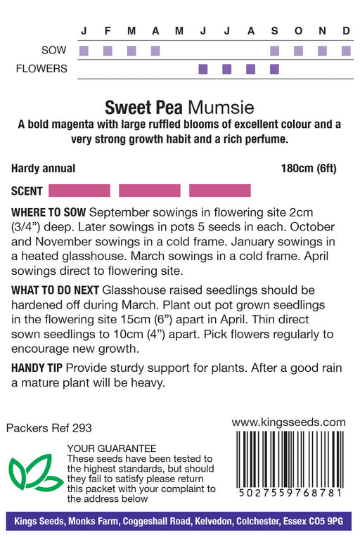 Kings Seeds Sweet Pea Mumsie