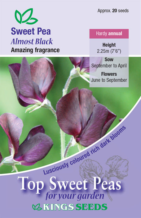 Kings Seeds Sweet Pea Almost Black