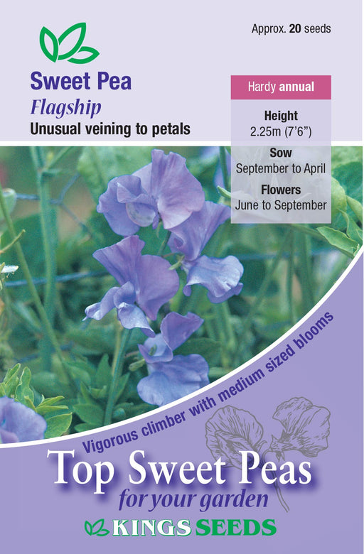Kings Seeds Sweet Pea Flagship Seeds