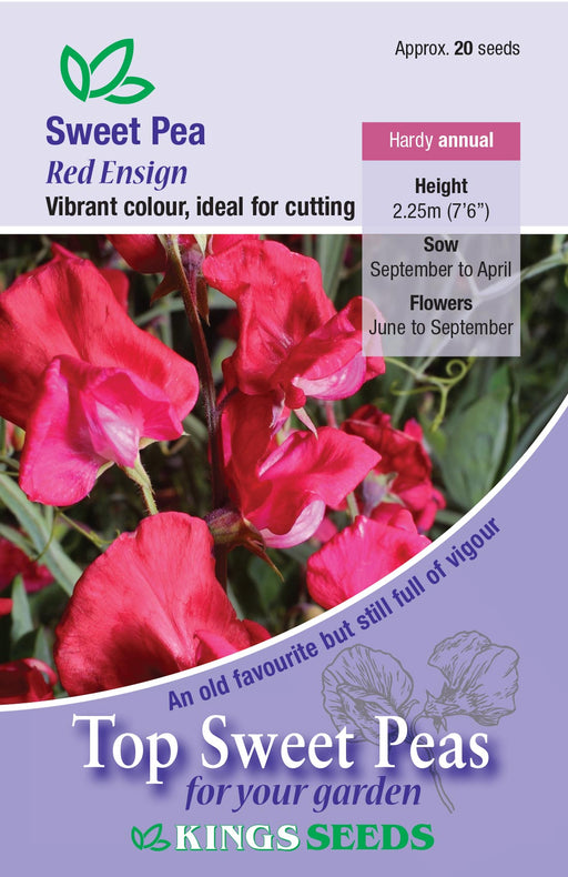 Kings Seeds Sweet Pea Red Ensign Seeds